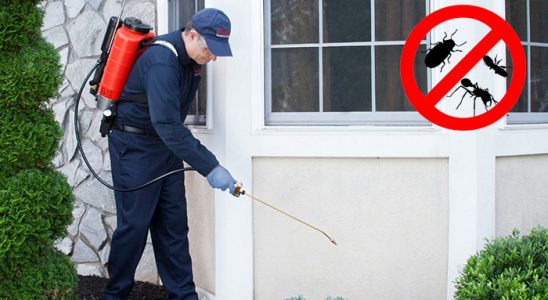 Beşiktaş Hamam Böceği İlaçlama böcek ilaçlama ve haşere kontrolü — ilaclama-tr.com